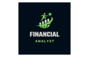 368 Financial Analyst