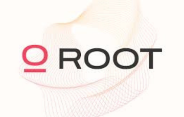 ROOT GLOBAL INC ROOT GLOBAL INC