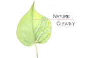 Natureclear Logo